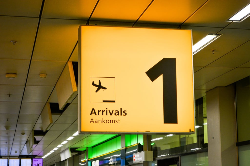 family reunion airport arrival - Bhai Dooj 2026: Flights, Dates and Travel Tips for Siblings