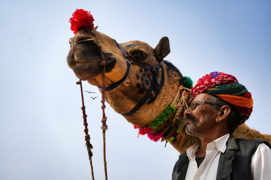 camel festival Rajasthan desert - Bikaner Camel Festival 2027: How to Fly In