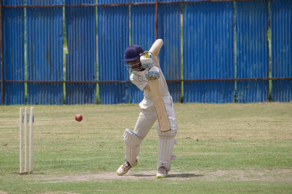 cricket bat and ball - Can You Carry a Cricket Bat on a Flight in India?