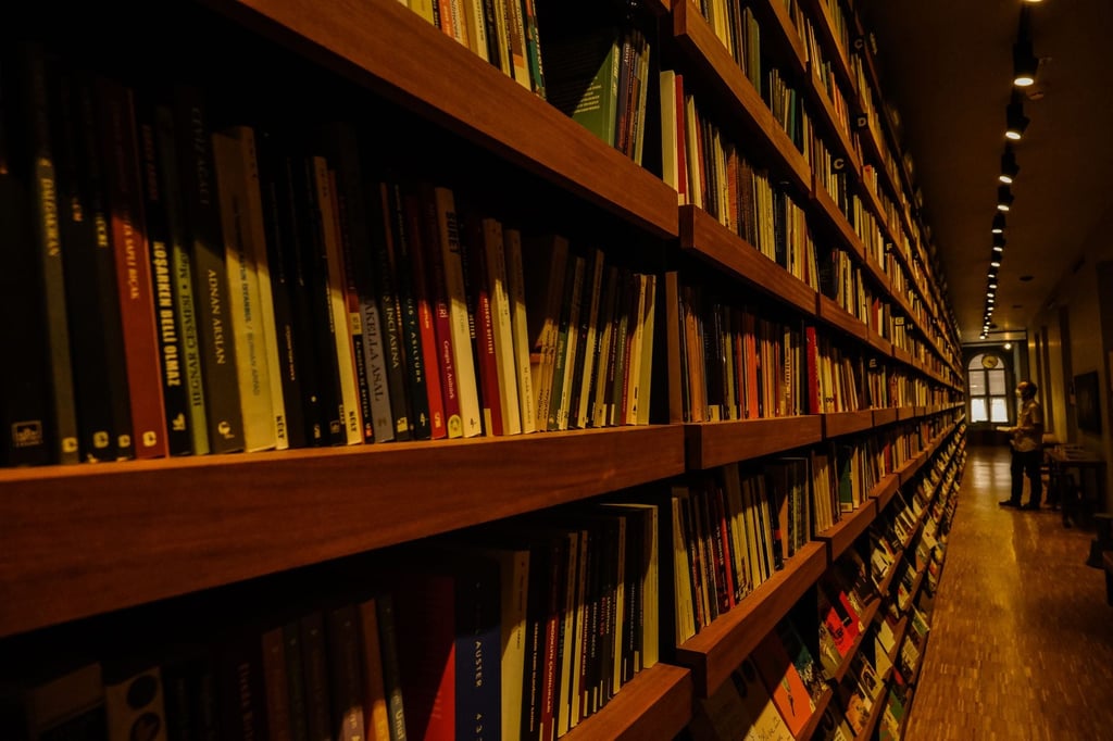 bookstore shelves reading