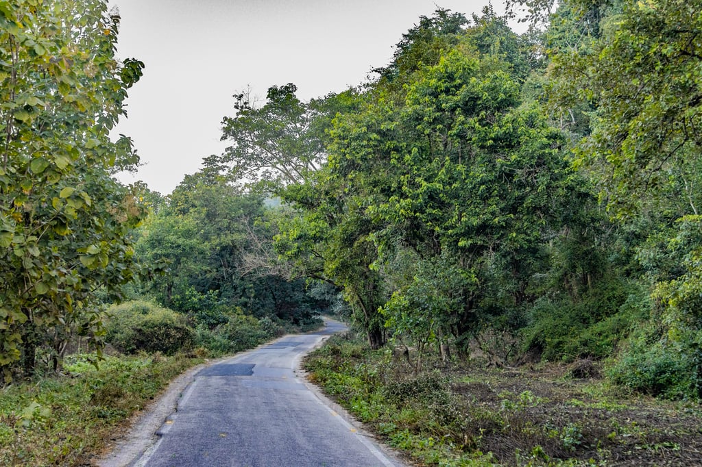 aravalli hills road winter