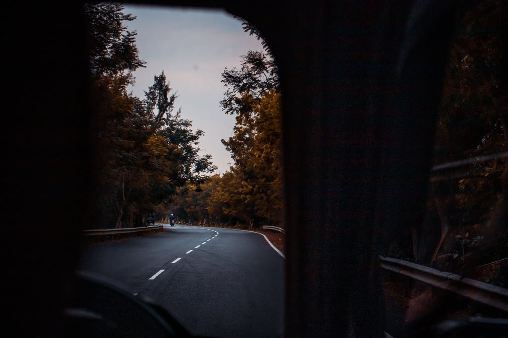 highway through forest India
