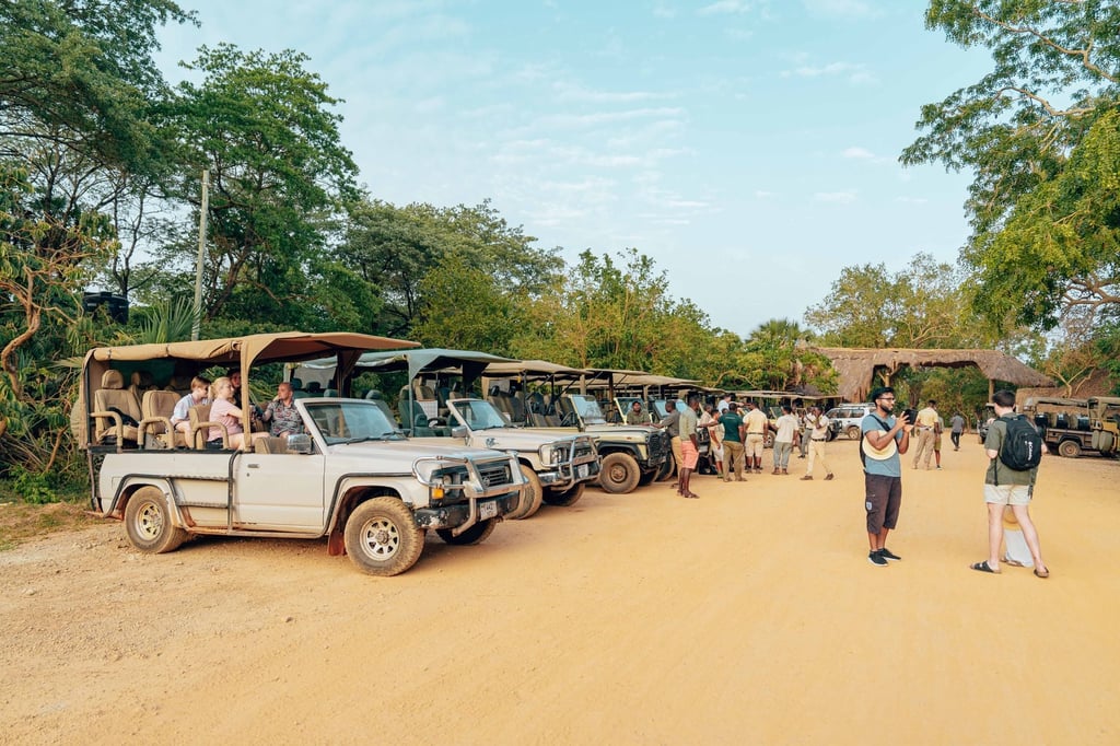 jungle safari jeep forest - Tadoba Tiger Reserve: Flights to Nagpur and the Safari Season