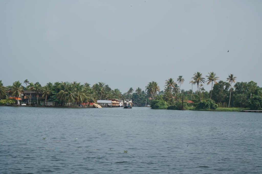 Kerala backwaters coastline