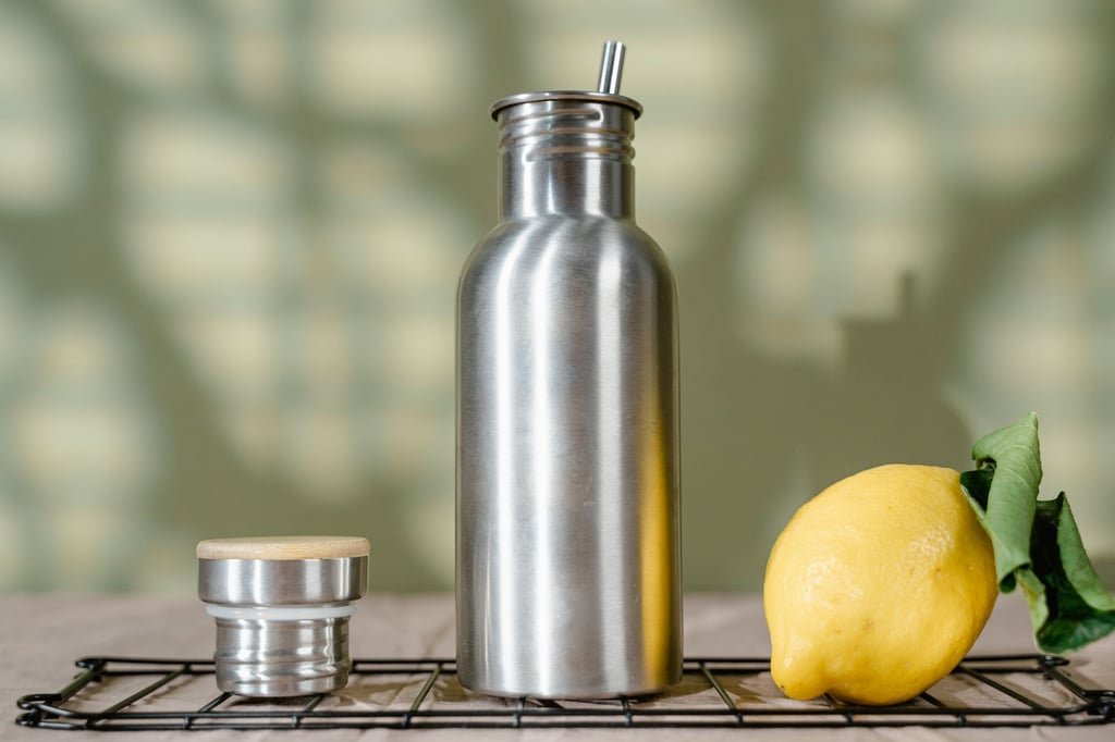 steel water bottle travel